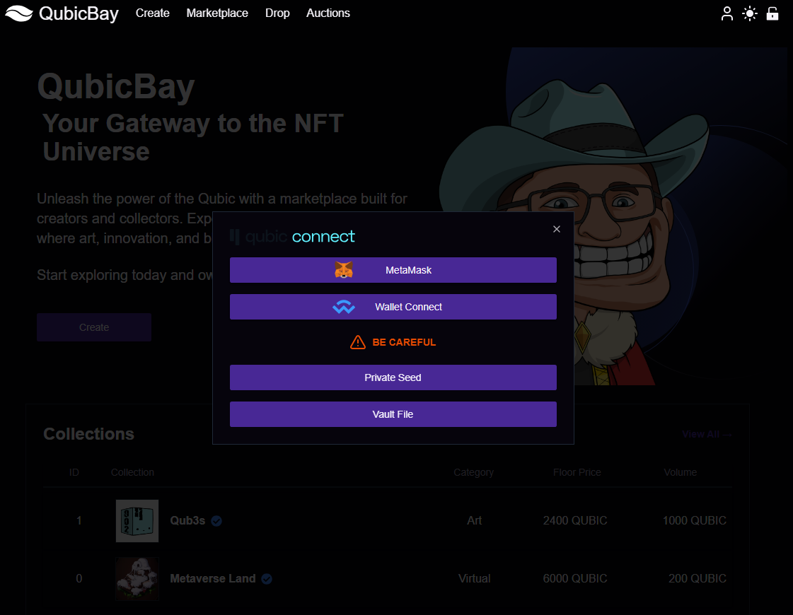 Wallet Connection Options
