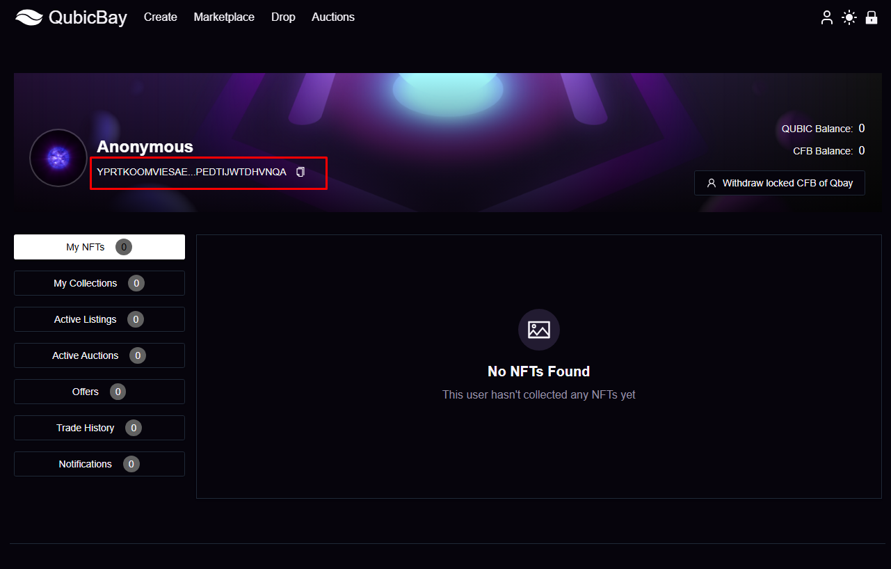 Wallet Connection Process